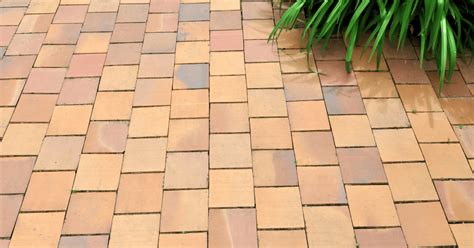 Expert Guide to Terracotta Floor Tiles: Everything to Know | Decoist