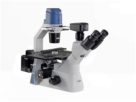 Accu-Scope EXI-310 Inverted Phase Contrast Fluorescence Microscope – Microscope Central