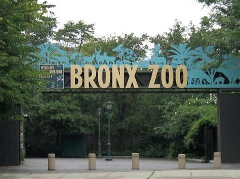 Bronx_Zoo - Travel BLAT