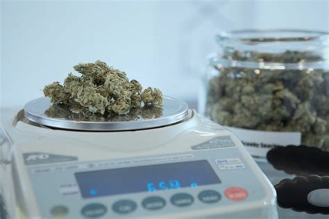 Missouri Marijuana Laws: Benefits of Medical vs Recreational Weed in MO