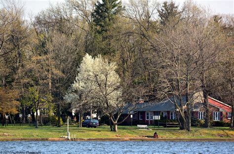 Springtime along the NJ side of the river in Edgewater Park ...