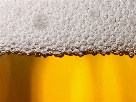 32 Facts About Beer Foam