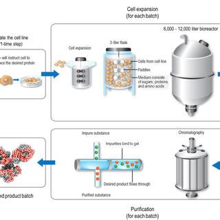 (PDF) Development of Biosimilars