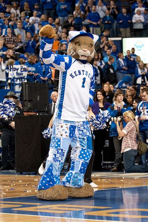 Kentucky Wildcats Basketball Mascot | uk espn college gameday 83 | UK ...