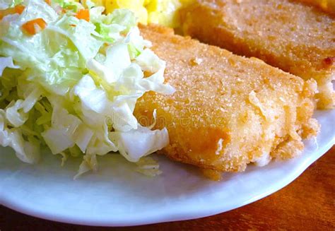 Fried Cheese With Salad Stock Photo - Image: 37429480