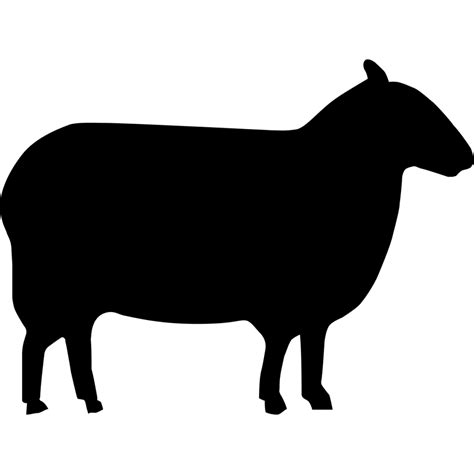 Sheep clipart merino sheep, Sheep merino sheep Transparent FREE for download on WebStockReview 2024