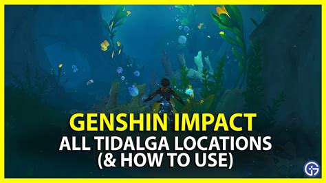 Genshin Impact Tidalga Locations (& How To Use) - Gamer Tweak