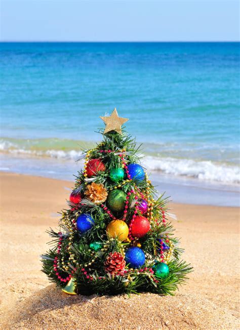 Hawaii Christmas Traditions That Are Simply Magical (2023)