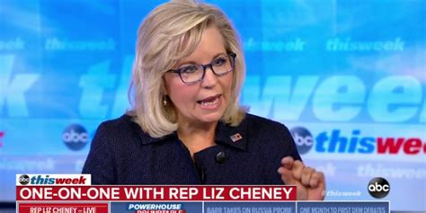 Liz Cheney Echoes Trump On FBI's "Treason" [VIDEO] - Joe.My.God.