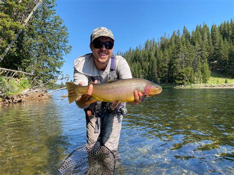 Madison River Fishing Report - Upper Madison River Fishing Report - Gr ...