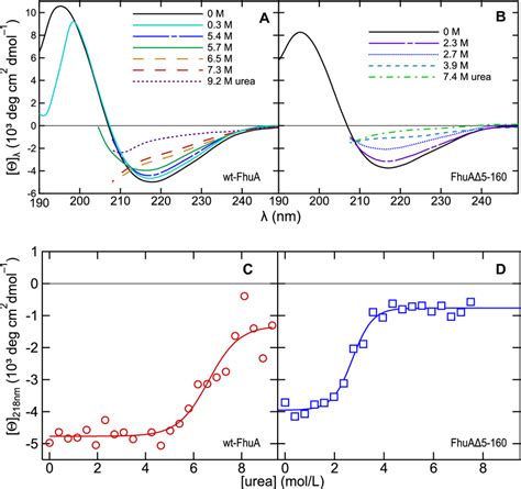 Circular dichroism spectroscopy indicated the β-sheet secondary ...