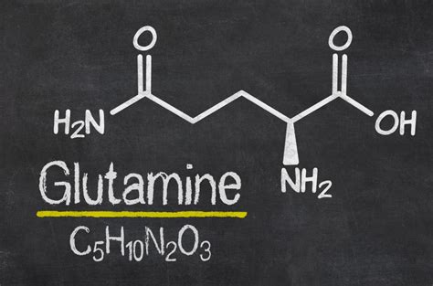 Immune Supporting Nutrients: L-Glutamine - Staterra