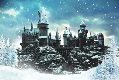 Hogwarts Snow on Dog, harry potter winter HD wallpaper | Pxfuel