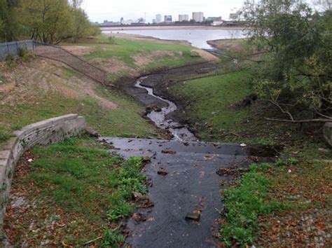 Vinnyman's Birding and Nature Blog.: Edgbaston Reservoir.