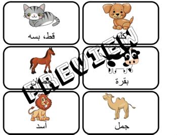 Arabic Vocabulary Flash Cards by Ellie Academy | TPT