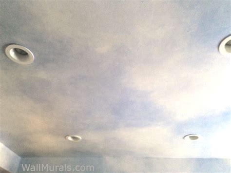 Sky Painted Ceiling - Kitchen Ceiling Remodel - Wall Murals by Colette