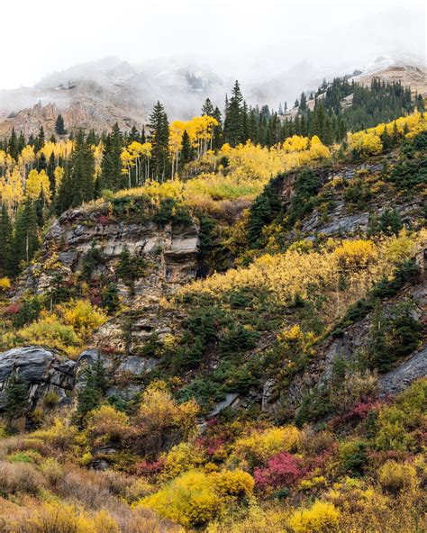 Fall Colors in Aspen, Colorado (OC) : r/MostBeautiful