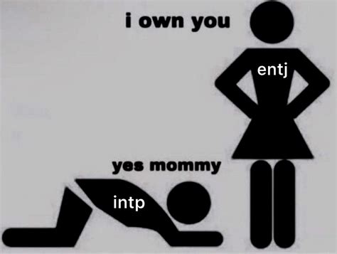 Intp Relationships, Mbti Charts, Enneagram Test, Intp Personality Type, Glee Quotes, Funny ...