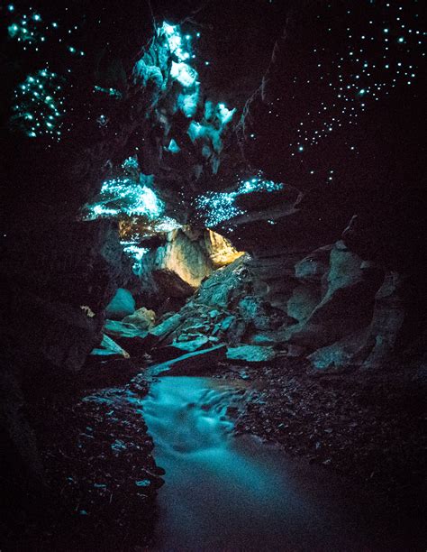 How to photograph Glow Worms - Adventure & Landscape Photographer - Tom ...