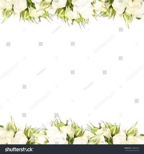 162,358 Border White Rose Images, Stock Photos & Vectors | Shutterstock