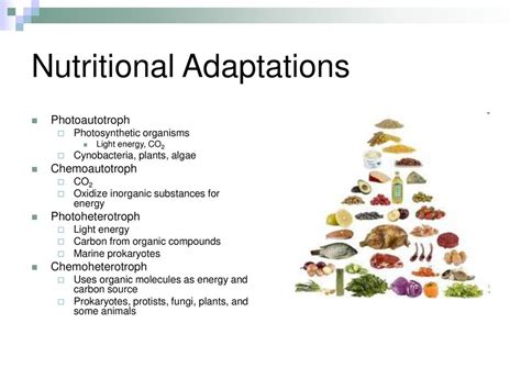 Chapter 27: Prokaryotes. - ppt download