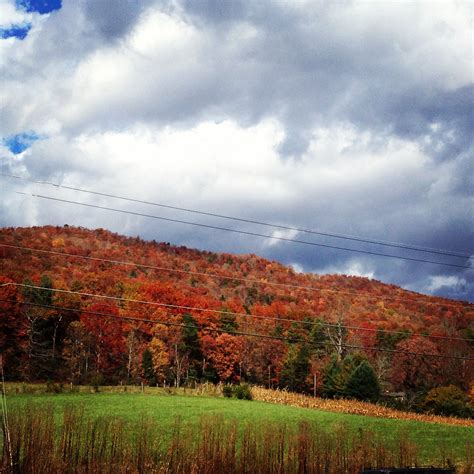 My beautiful Western North Carolina Mountains! | Country roads, Pet ...