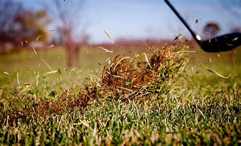 Grass Divot Stock Photos, Pictures & Royalty-Free Images - iStock