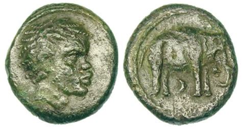 Hannibal of Carthage coin | Ancient coins, Ancient history, Coins