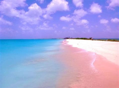 The Unique Pink Sands Beach in Harbour Island, the Bahamas