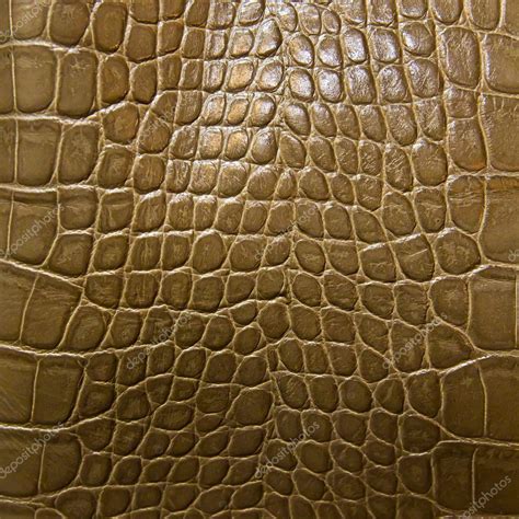 Crocodile skin texture Stock Photo by ©tungphoto 9261142