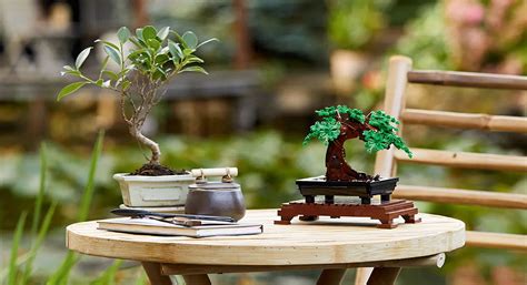 LEGO Bonsai Tree Review