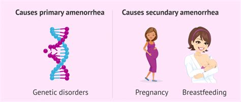 Primary and secondary causes of amenorrhea