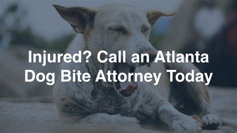 Atlanta Dog Bite Attorney