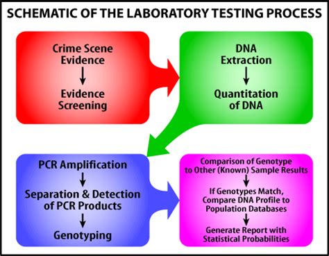 Forensic DNA Training