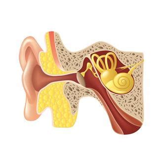 Finding the Right Treatment for Eustachian Tube Dysfunction