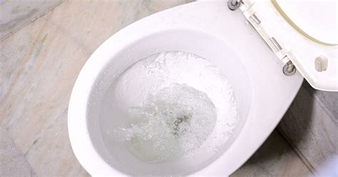 What Causes Black Ring In Toilet Bowl | Storables