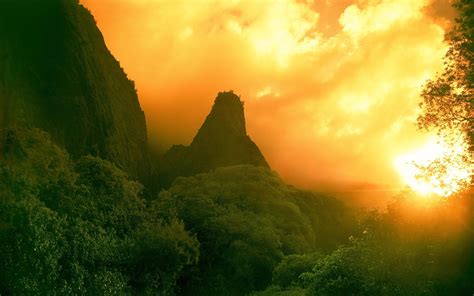 Mountain Forest at Sunset - Image Abyss