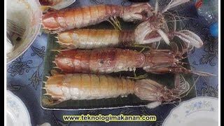 Cara Masak Udang Lipan Goreng - BangPohan Blog