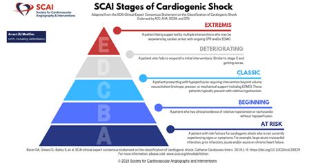 SCAI Expert Consensus Statement on the Classification of Cardiogenic ...