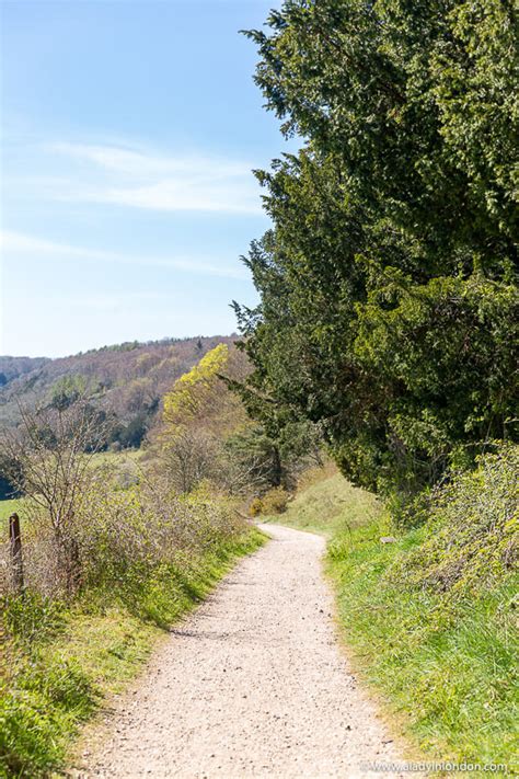 Country Walk in Surrey - Best Country Walk in the Surrey Hills, England