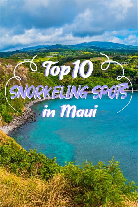 Best snorkeling spots on maui – Artofit