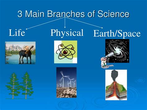 PPT - The Branches of Science PowerPoint Presentation - ID:2979975