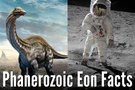 Phanerozoic Eon Facts: The Current Eon In The Geologic Time Scale