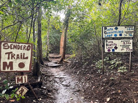 Las Catalinas Costa Rica: A Unique Walkable, Tropical Destination