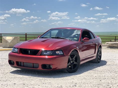 My new to me ‘03 Cobra : r/Mustang