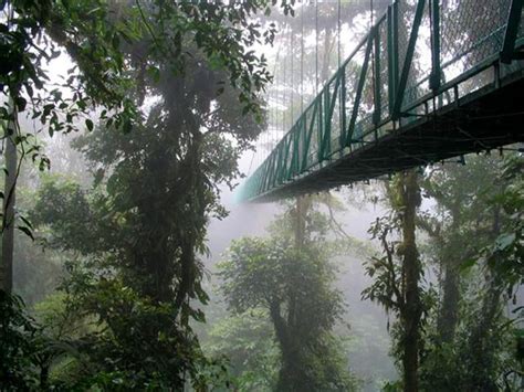 Costa Rica Cloud Forests | The Costa Rican Times