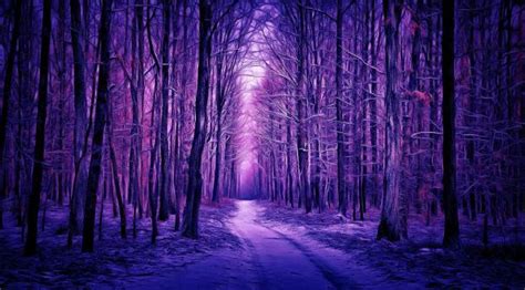 8888x555520 Purple Winter Forest 8888x555520 Resolution Wallpaper, HD ...