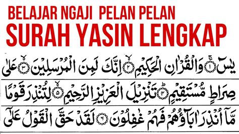 BELAJAR NGAJI SURAH YASIN PELAN PELAN LENGKAP DAN MUDAH DI IKUTI - YouTube