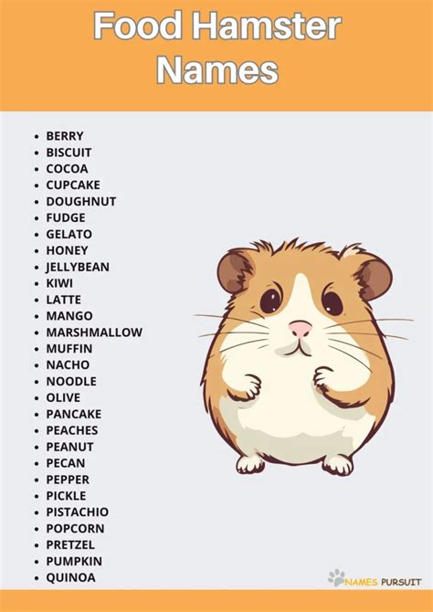 Food Hamster Names [200+ Creative Naming Ideas]