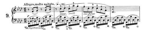 Musical Musings: Chopin - Twelve Etudes For Piano Opus 10